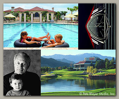 Pete Bleyer Studio, Inc. image